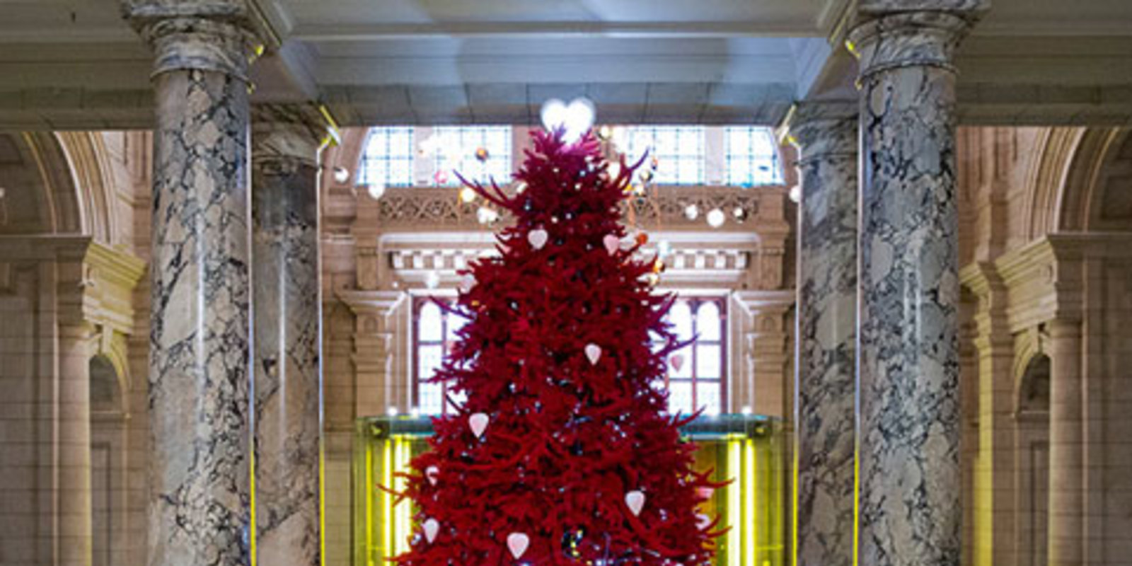 London's Best Christmas Trees