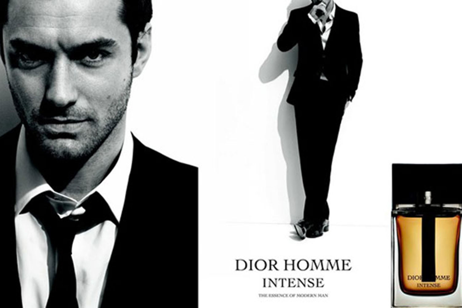 Hollywood Men in Fragrance Hollywood Men in Fragrance