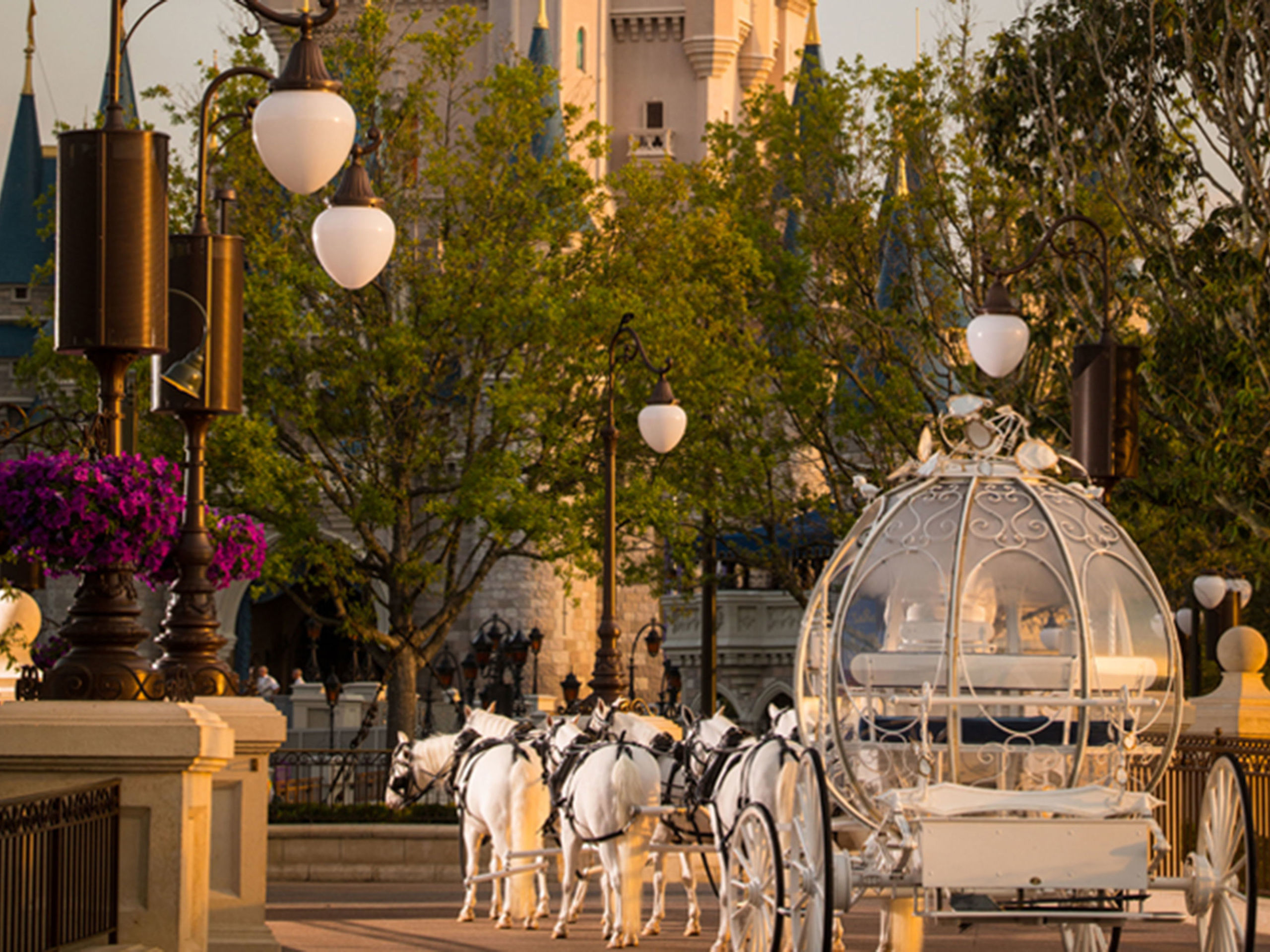 Disney wedding cinderella carriage cost 60 photos - Astyledwedding.com