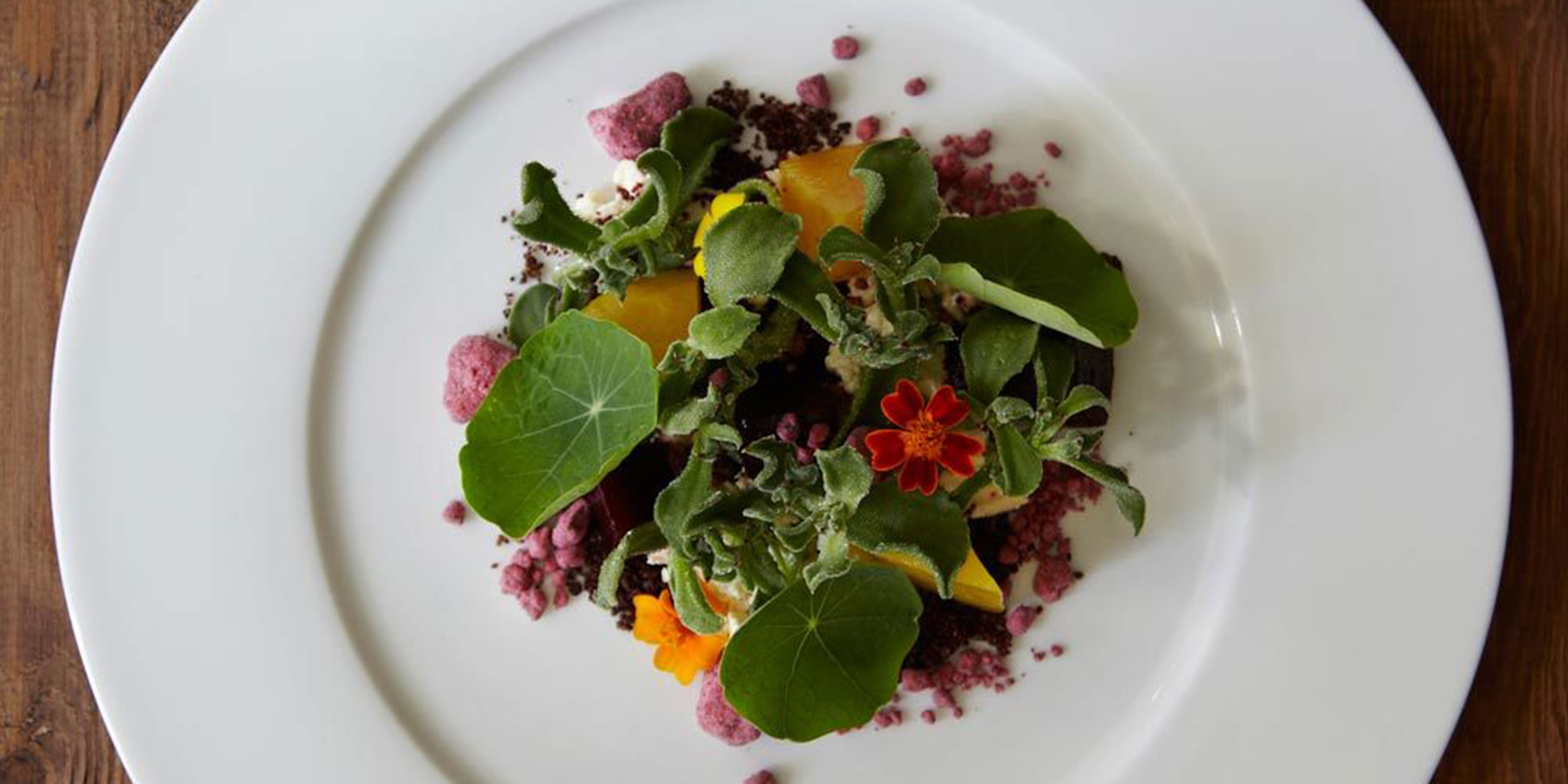 Top 10 Vegetarian Restaurants