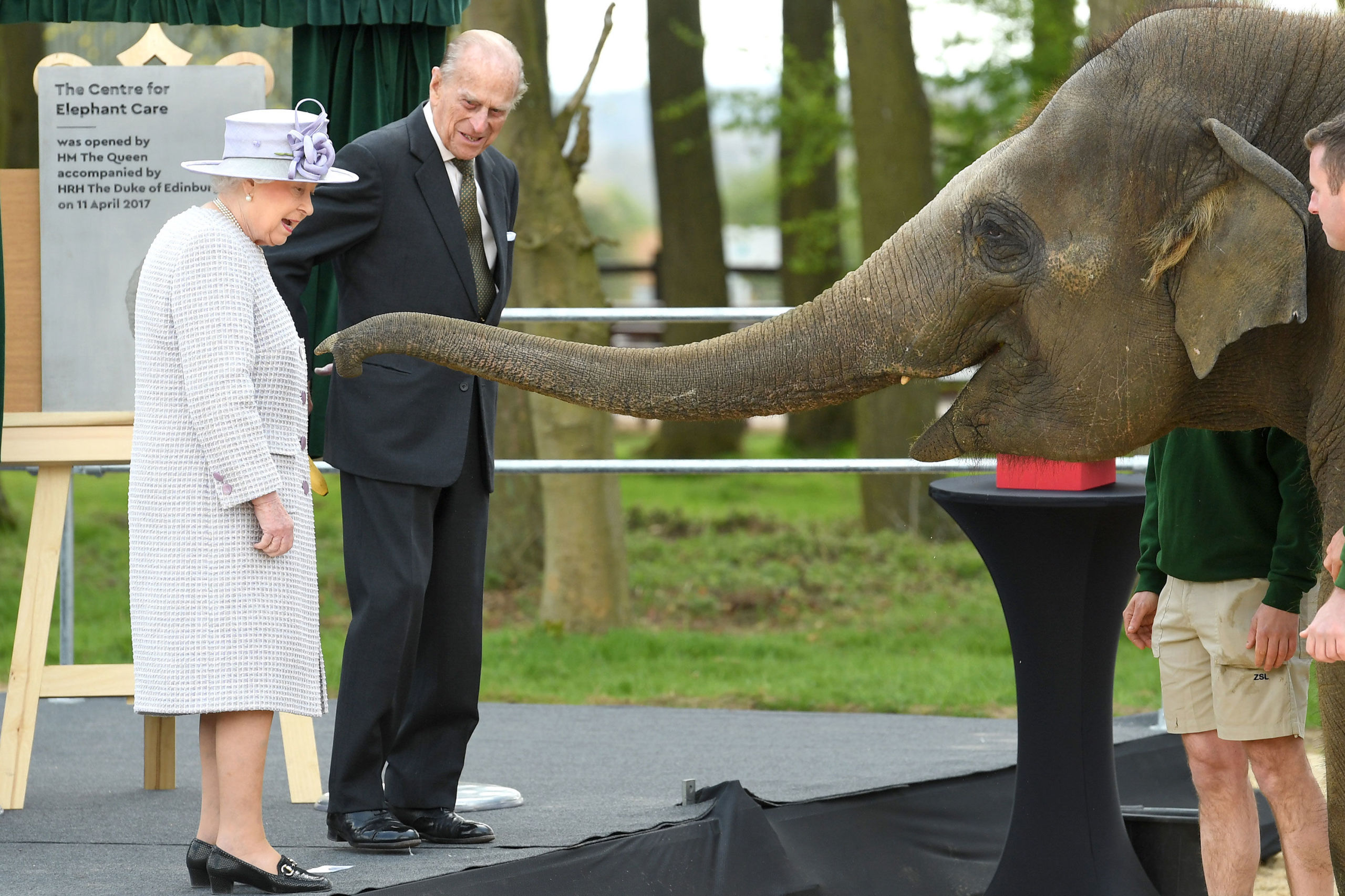 Watch: The Queen and Duke of Edinburgh feed elephants